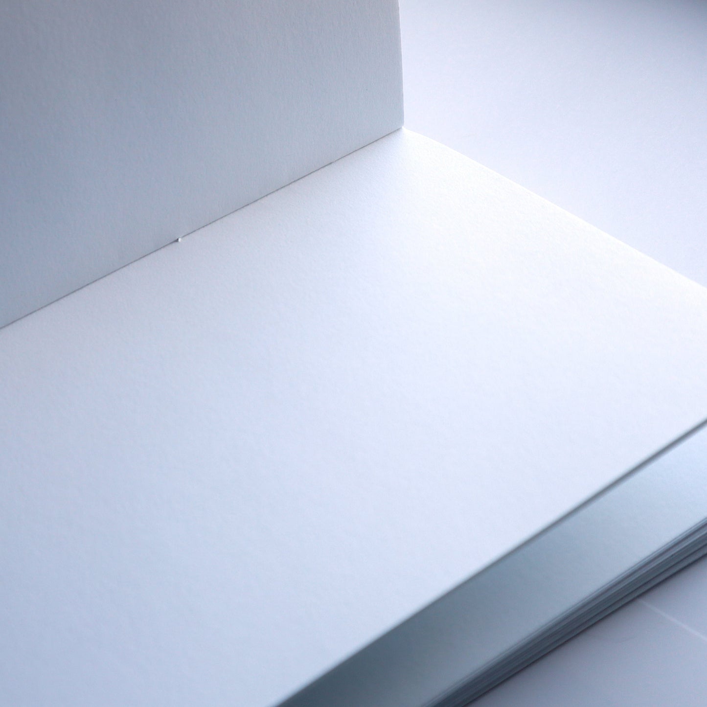 White, blank pages in a journal.