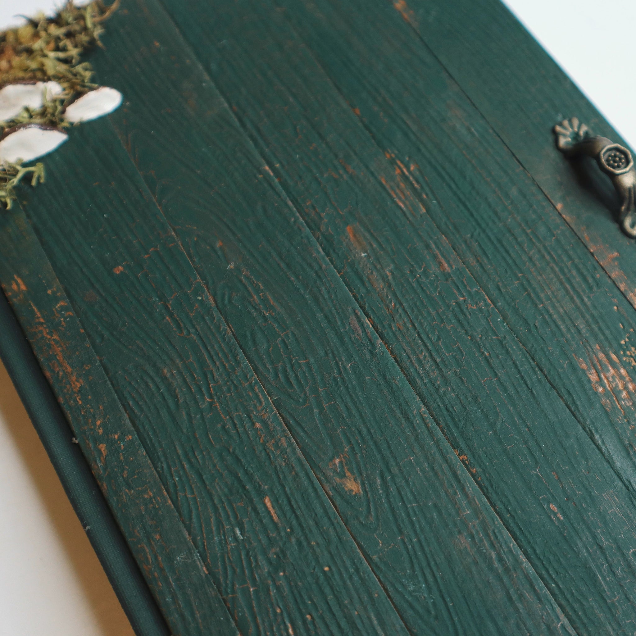 A close up of a journal that looks like a door. The wood grain texture is clearly visible, the book is green with cracking paint, brown shows through the cracks.
