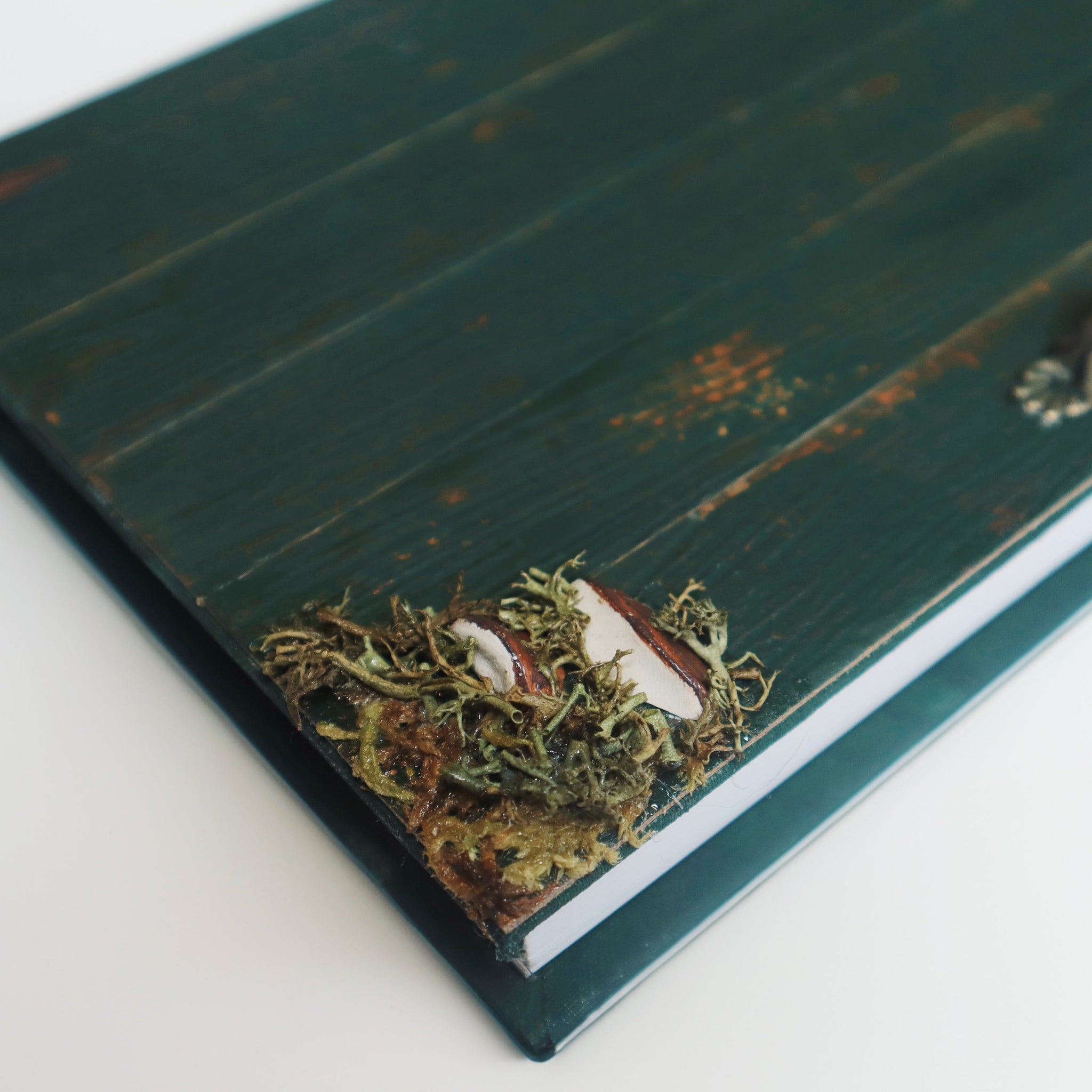 The bottom right of a journal that looks like a door. The journal is green, the handle is barely visible. The image is a close up of the mushrooms and moss on the corner.