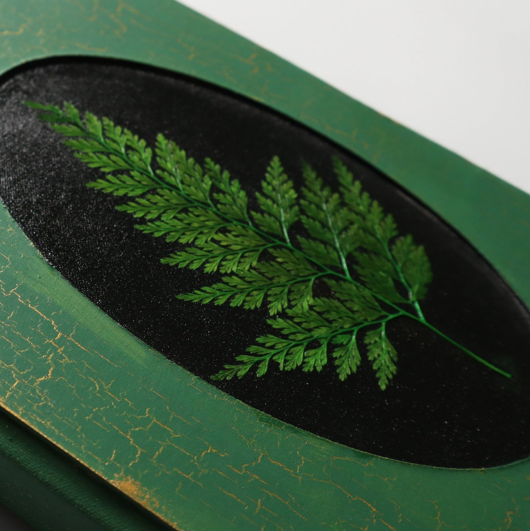 A green journal with gold crackle, with a pressed dried fern inside of a black recessed oval frame in the center. The image focuses on the fern, showing the details.
