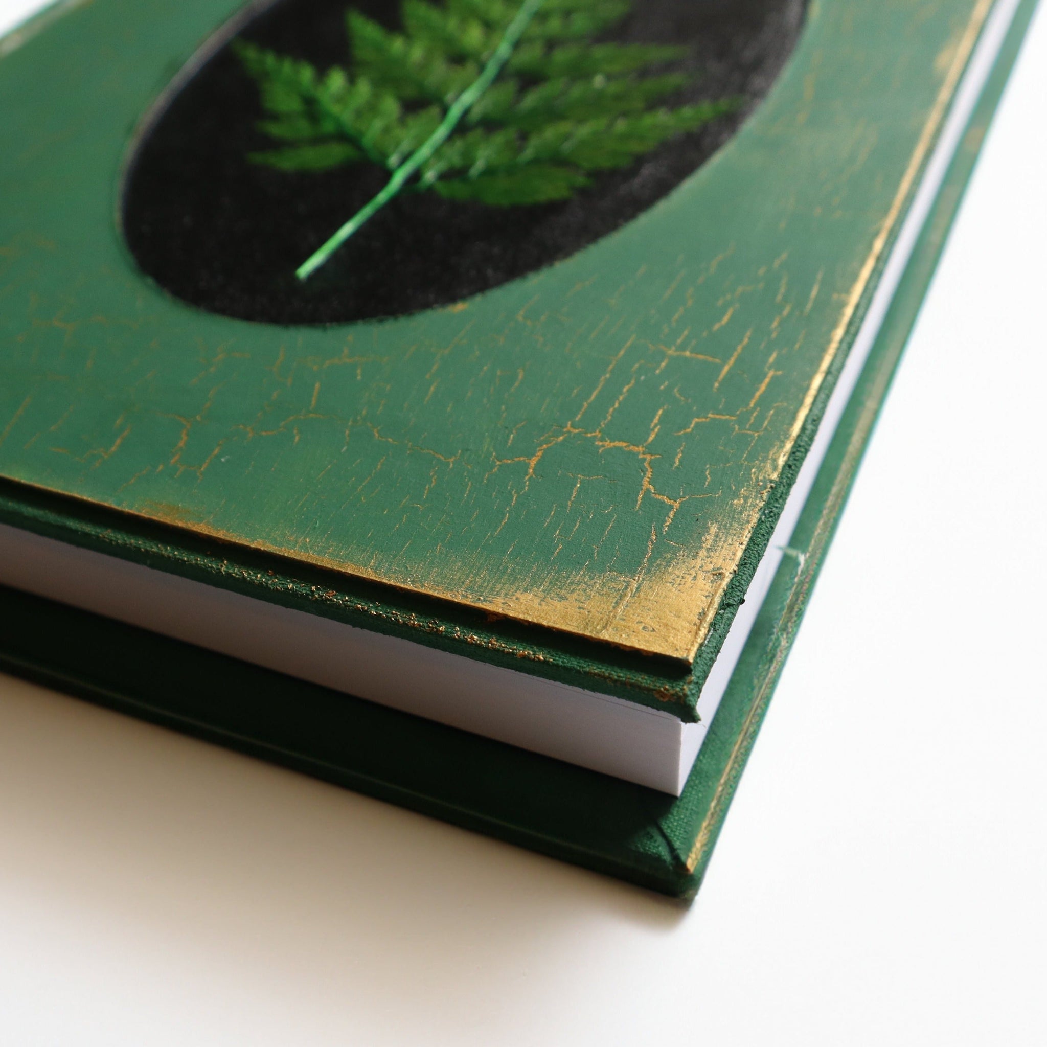 A green journal with gold crackle and gold corners, with a pressed dried fern inside of a black recessed oval frame in the center. The image focuses on the bottom right corner.