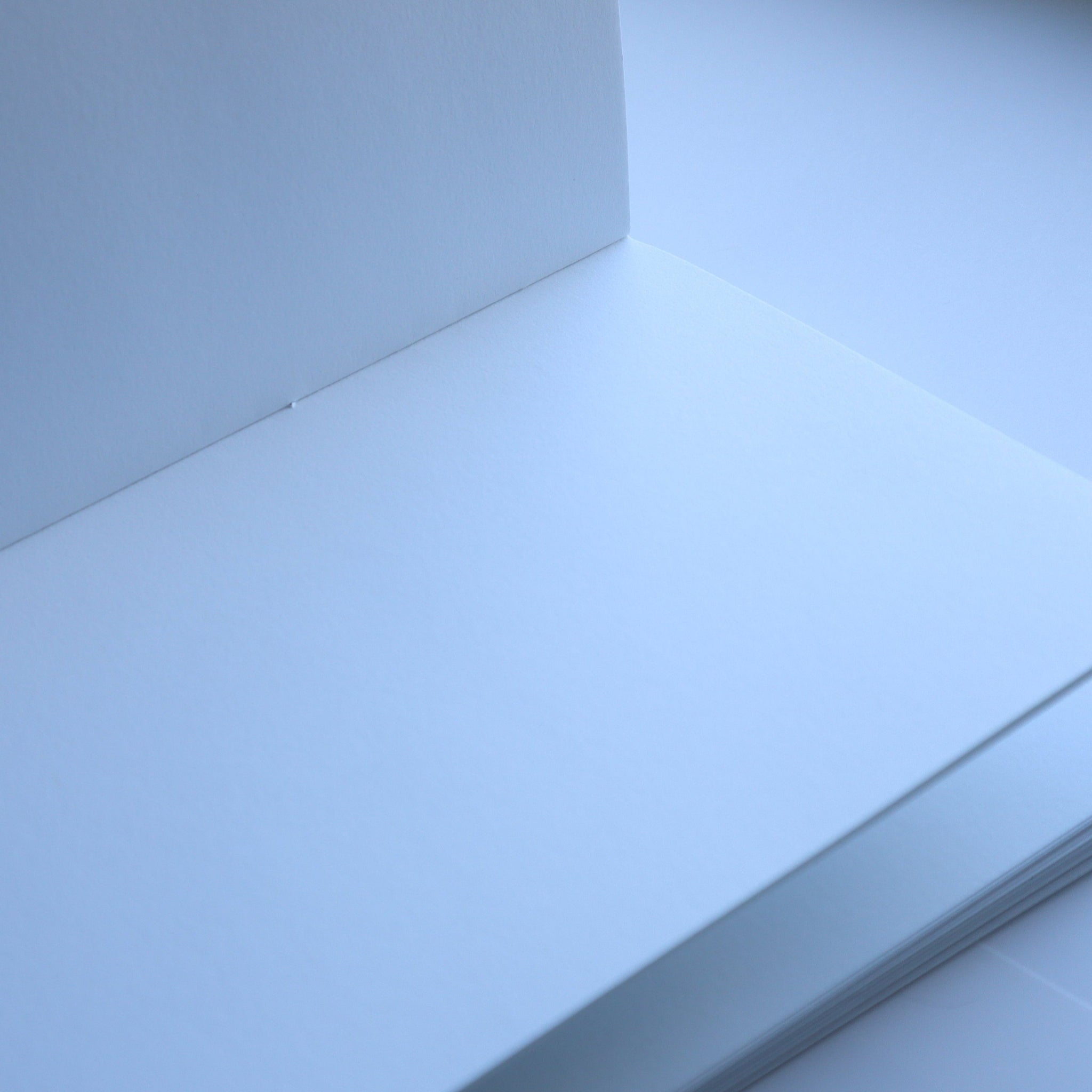 The blank, white pages of a journal.
